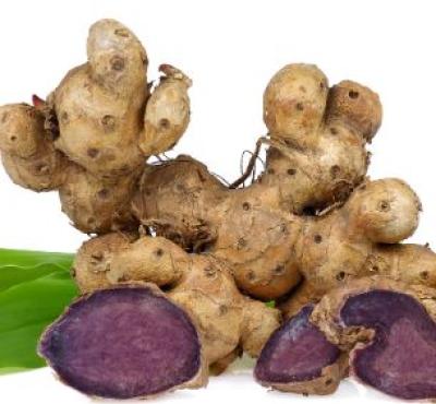 Black Turmeric (Kale haldi) by Sri Herbal- An extraordinary herb
